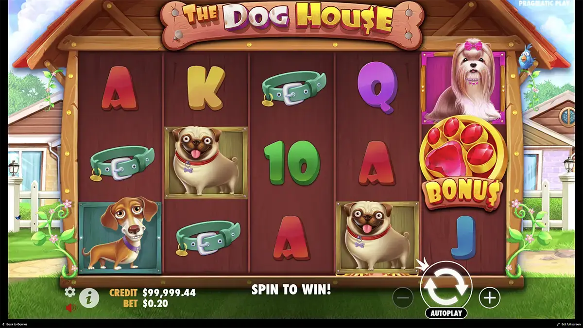 Бонусы в the Dog house для зарегистрированных игроков