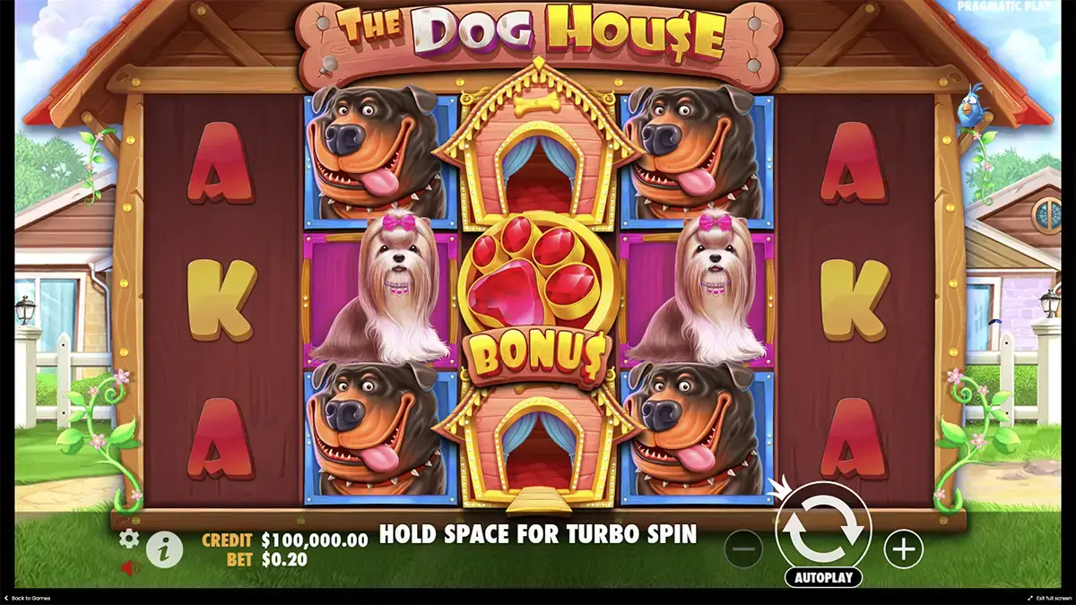 Начало игры в the Dog house