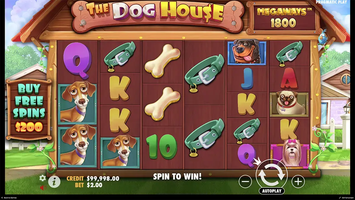 Визуальный стиль игры the Dog house Megaways демо