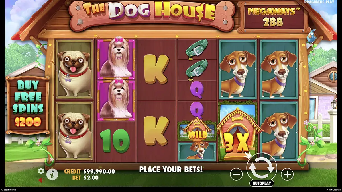 Игра без рисков в the Dog house Megaways демо