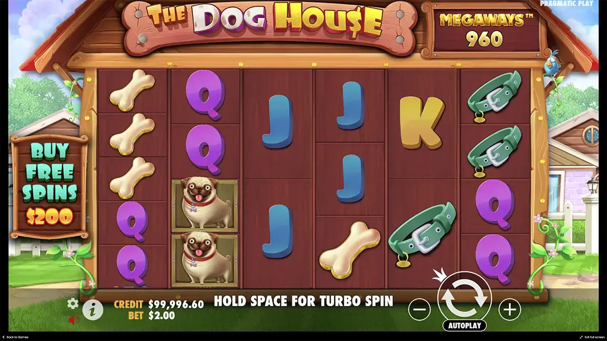 Dog house Megaways слот