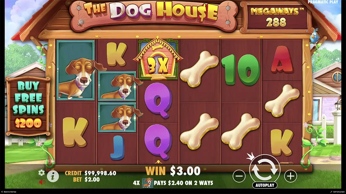 Как выглядит интерфейс the Dog house Megaways