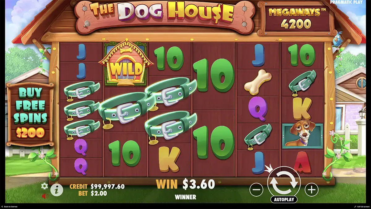 Безопасная игра в the Dog house Megaways
