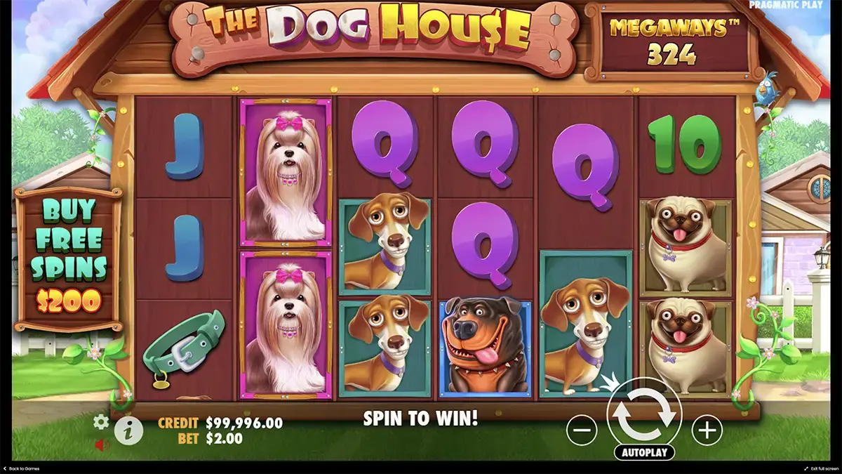 Dog house Megaways демонстрационная версия