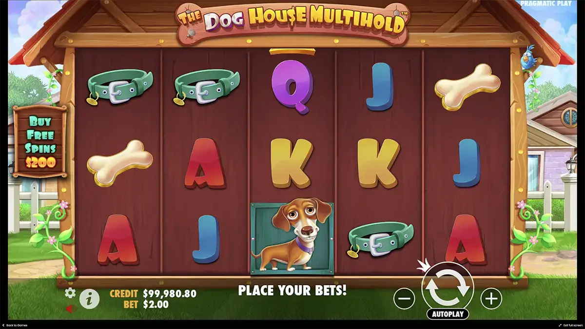 Игровые бонусы в демо the Dog house Multihold