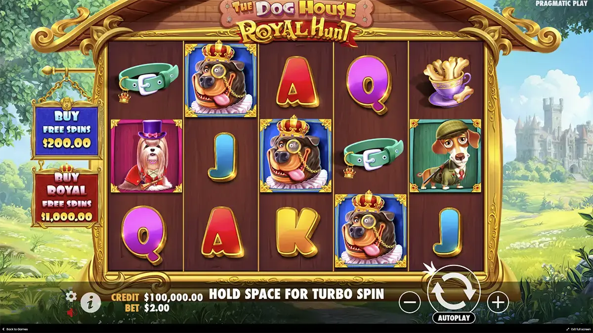Механики игры the Dog house royal hunt demo